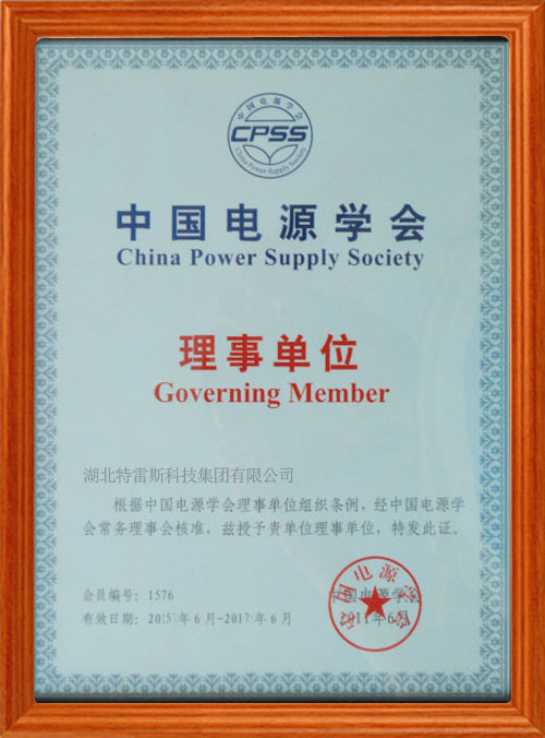 China Power Association governing unit