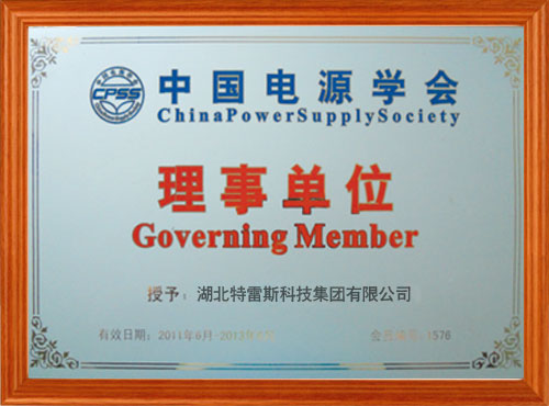 China Power Association governing unit-1